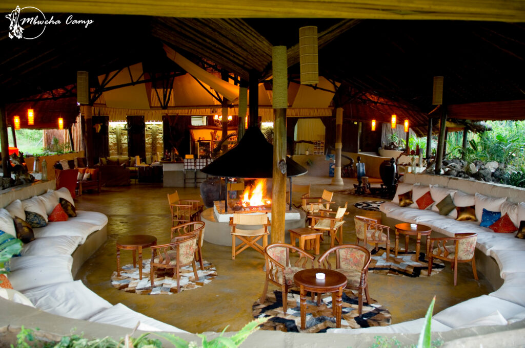 1. Mbweha Camp Main area