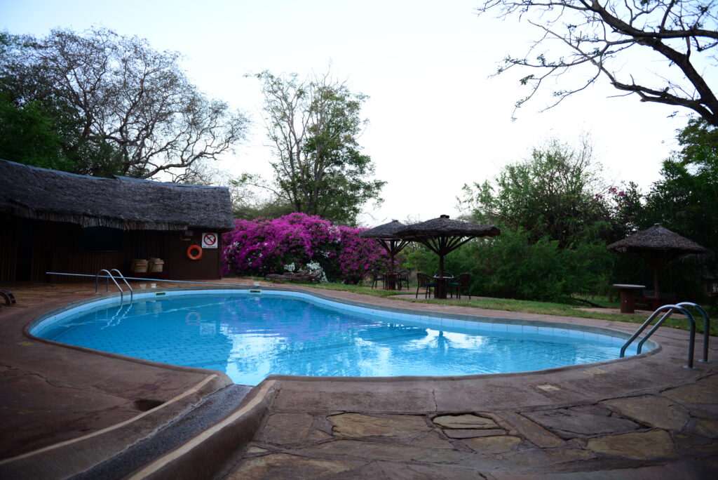11. Swimming Pool
