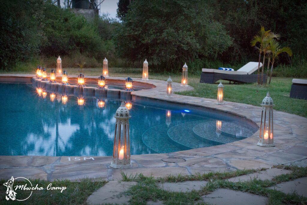 2. Mbweha Camp Pool