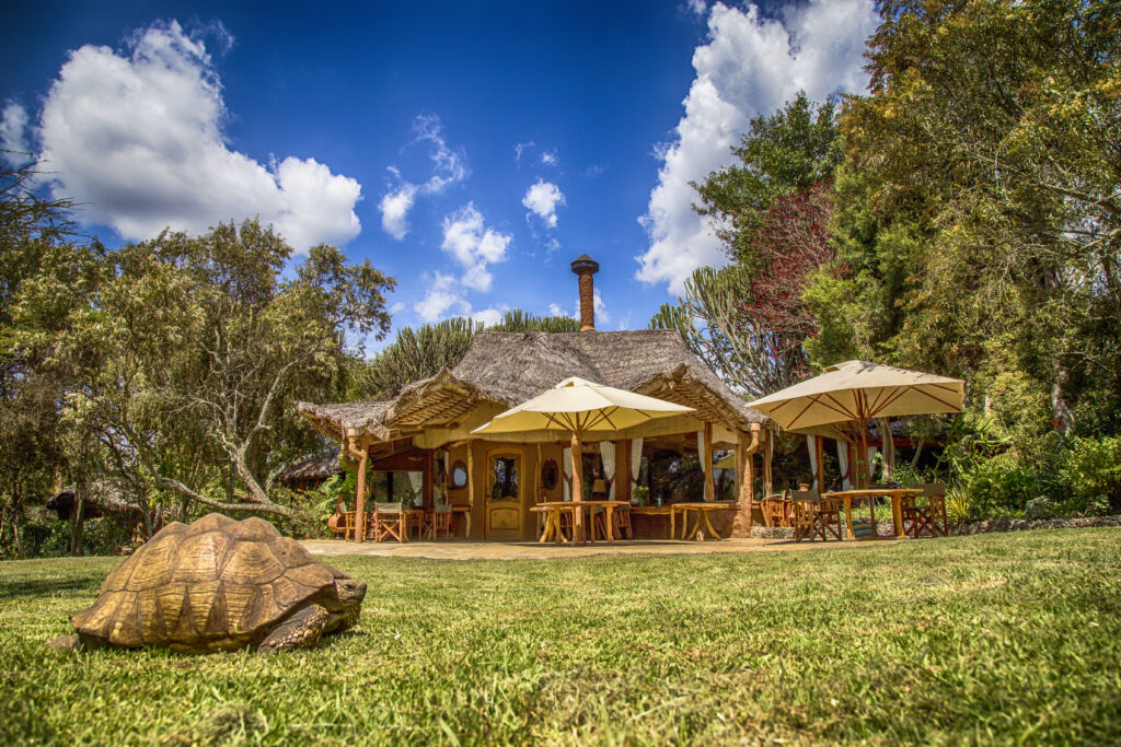 22 chui lodge - main area