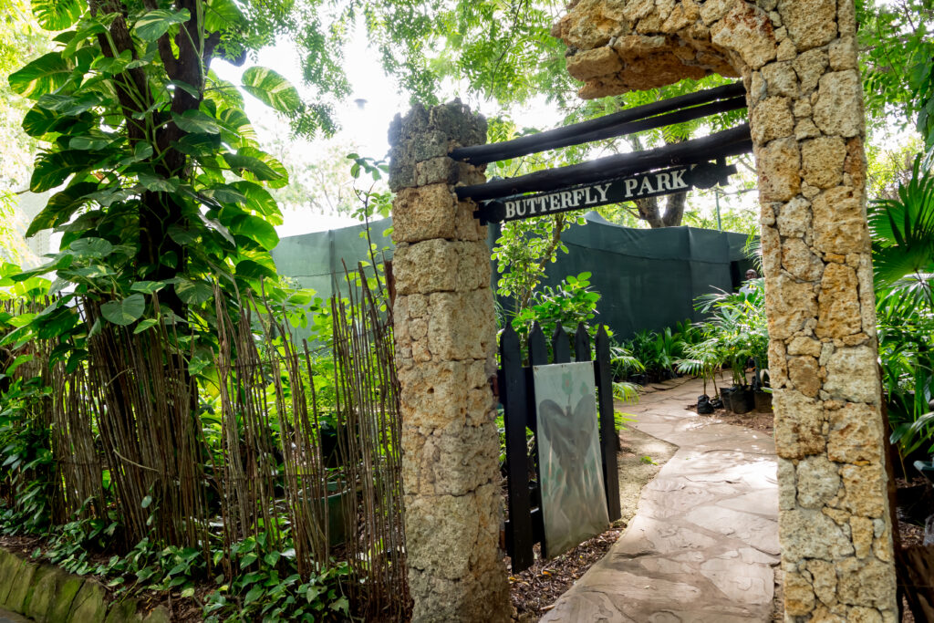 48. Conservation - Butterfly Park1