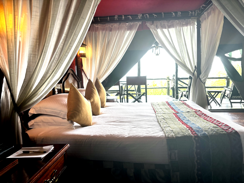 Accommodation - Double Tent