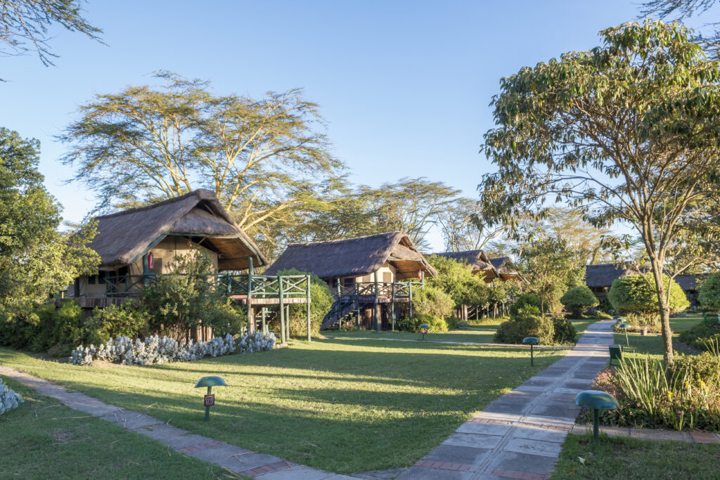 Accommodation - Standard Wing Tents Exterior View
