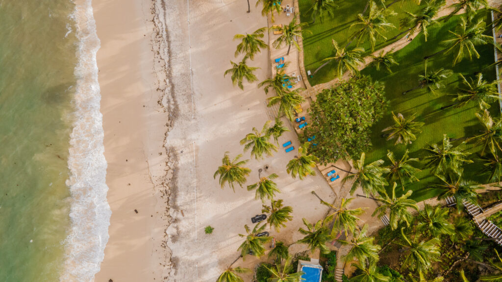 DJI_0761