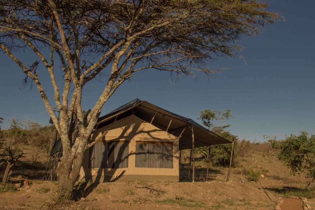 Guest Tent (2)
