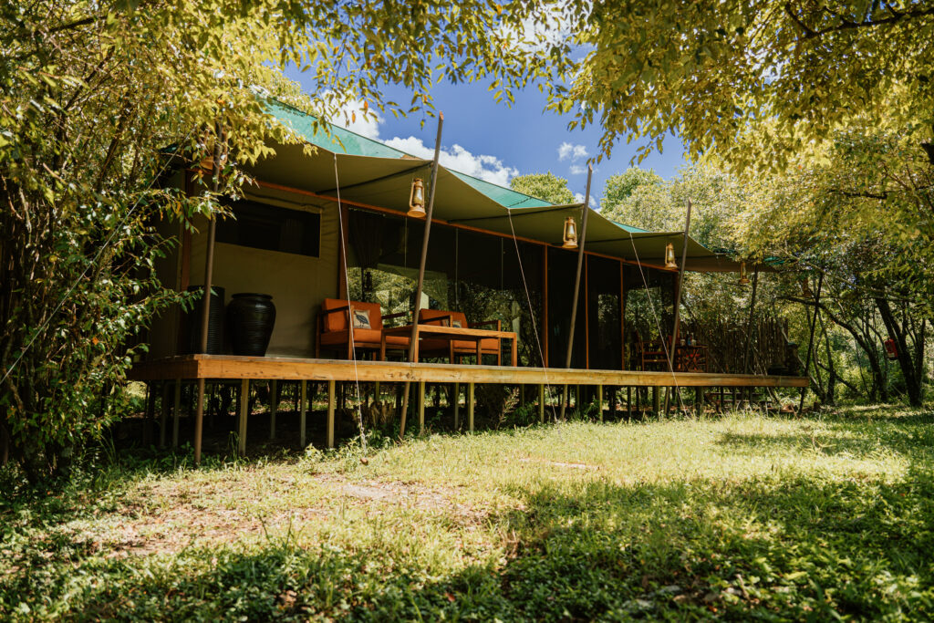 LMC Luxury Tent 17
