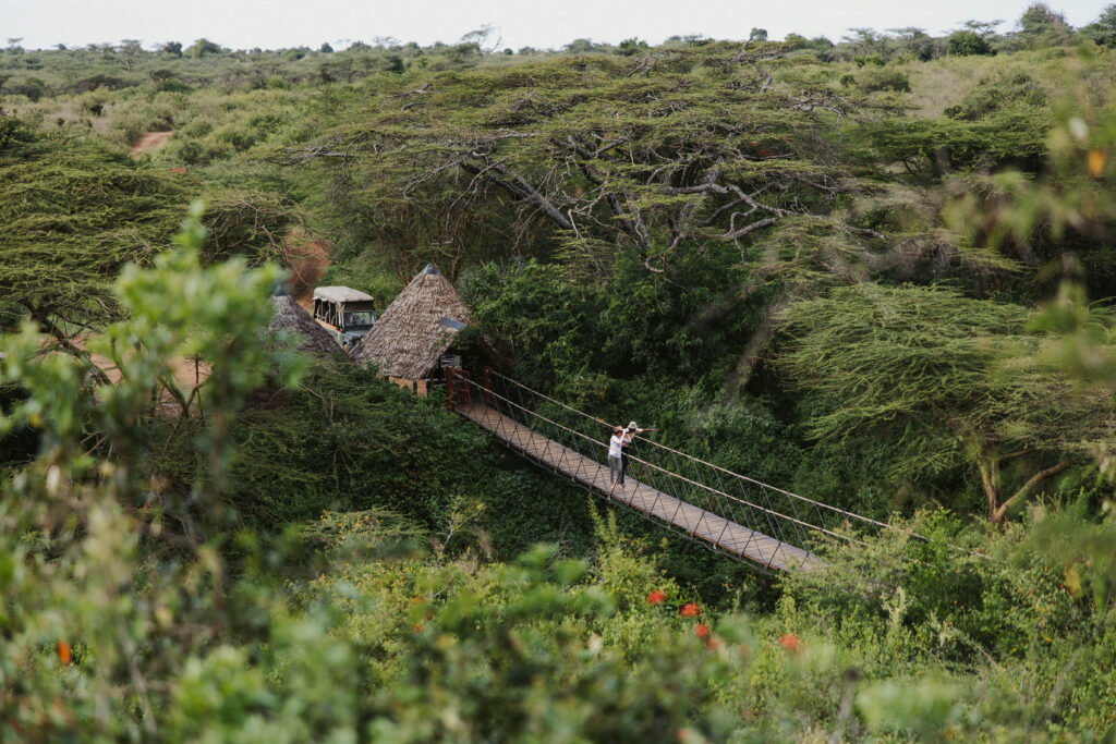 Ololo Bridge_
