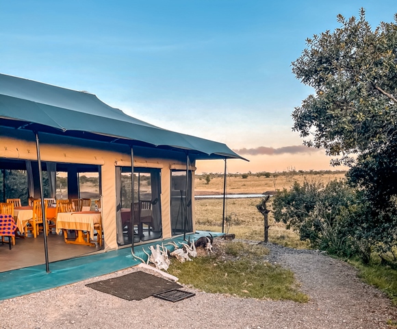 Smaller-porini-rhino-camp-13