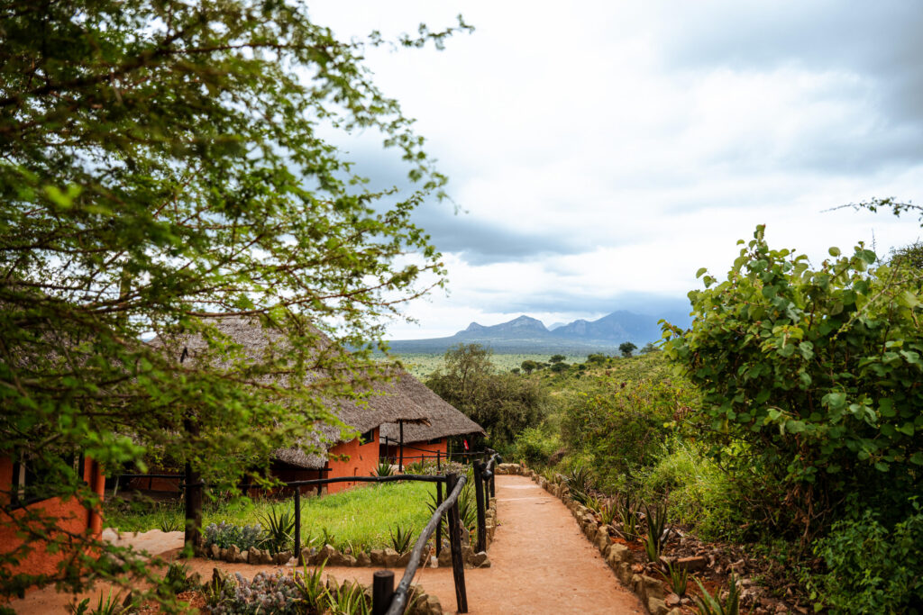 Soroi Leopards Lair Cottages_(1)