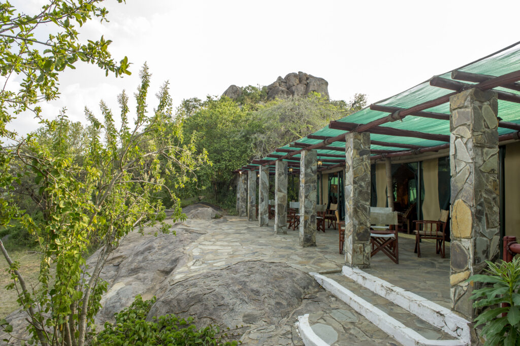 Tent Terrace