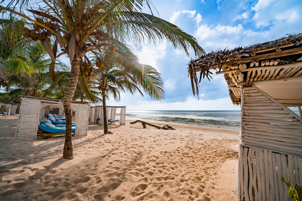 ananea Malindi-41