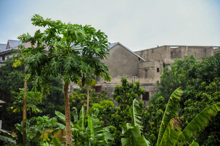 johnnathan-tshibangu-CDo6aAgMmuI-unsplash
