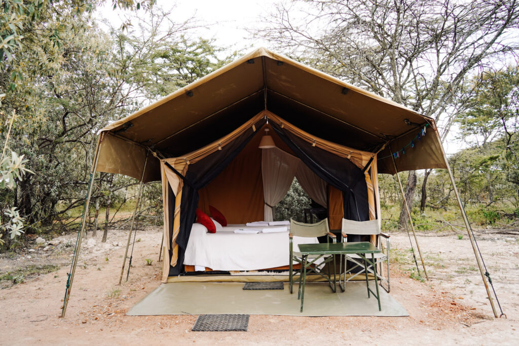 porini_giraffe_traveltomtom_jessmelu-9