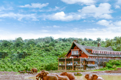 the ark nyeri 1